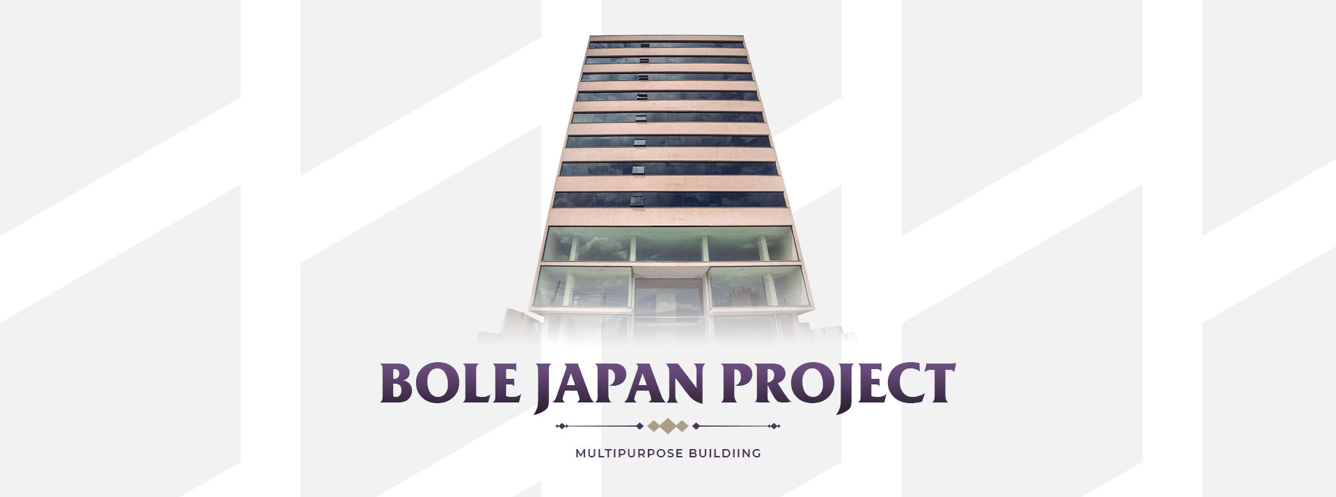 Bole-Japan-Project-Slider-Photo-1.jpg